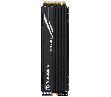 Transcend MTE250H