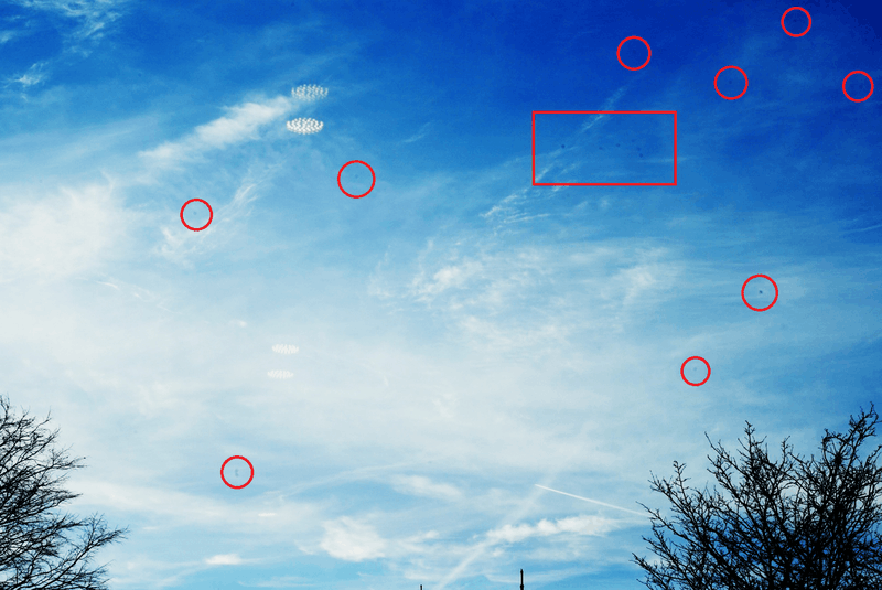 Afbeeldingslocatie: https://tweakers.net/i/MUbFcIV_zs_VNEVbwNWKpKBF3t4=/800x/filters:strip_exif()/f/image/Z747E4YHqamOdaj0FY9m6VaS.png?f=fotoalbum_large