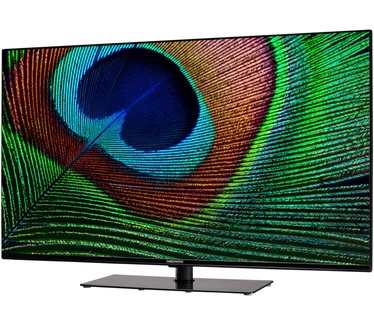Medion Medion X14355 - Android Smart TV - 108 cm - 43 inch - UHD 4K - HDR - Chromecast - Google Assistant - Zwart