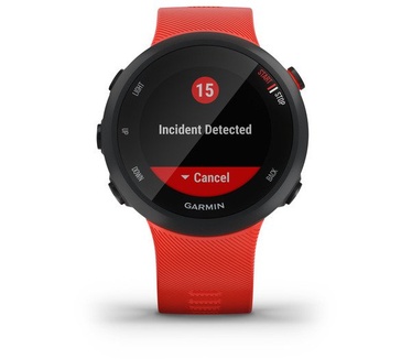 Garmin 45