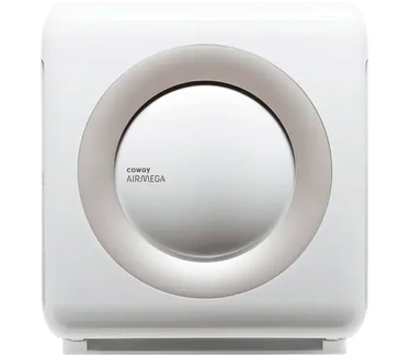 Coway Airmega Mighty Wit