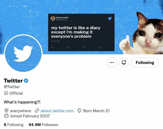 Twitter verificatievinkje