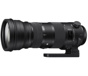 Sigma 150-600mm f/5-6.3 DG OS HSM Sports (Sigma)