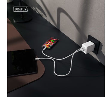 Digitus DA-10304