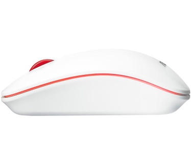 Asus WT300