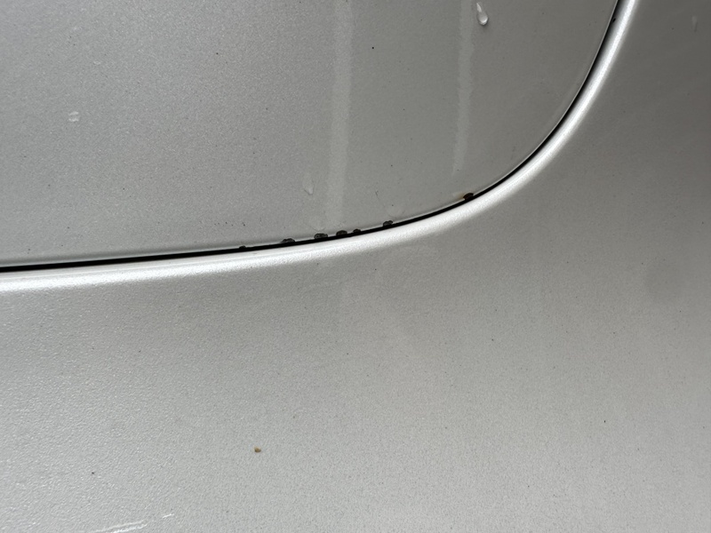 Afbeeldingslocatie: https://tweakers.net/i/McEPb8r_9Zn_ma9JGP9fYCsYPLA=/800x/filters:strip_icc():strip_exif()/f/image/uSSYdegQagSl9S70LmyV2fes.jpg?f=fotoalbum_large