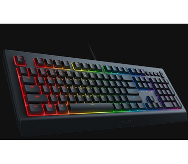 Razer Cynosa V2