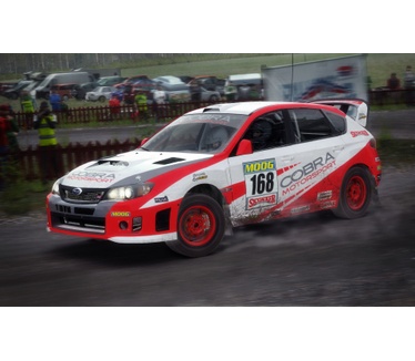 DiRT Rally, PS4