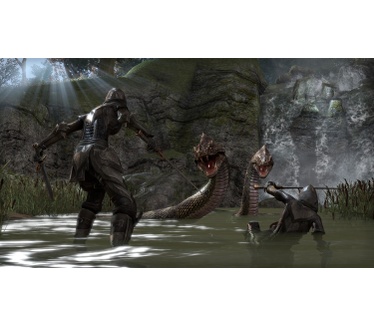 The Elder Scrolls Online, PS4