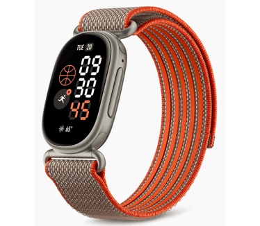 Google Fitbit Edge, Aluminium (Bruin, Oranje)