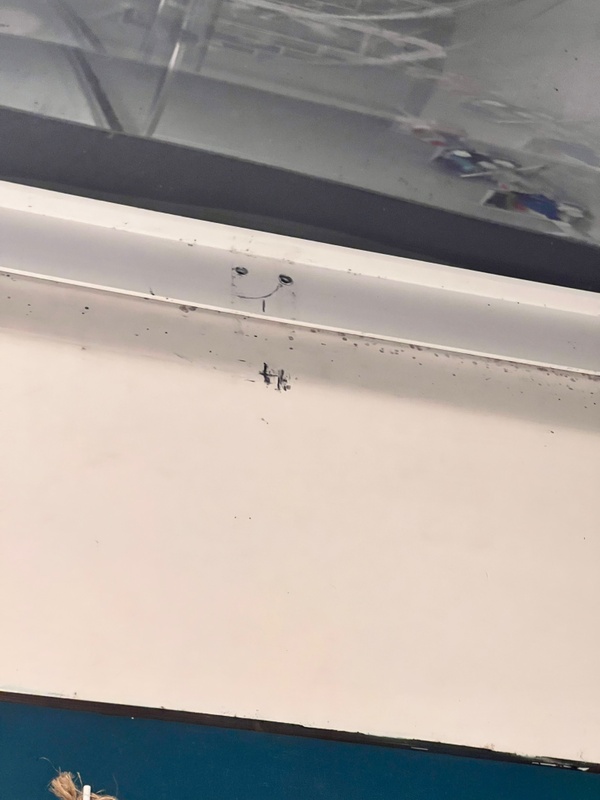 Afbeeldingslocatie: https://tweakers.net/i/MgdXm8MV39d-V0vOrvdOZUFrwic=/x800/filters:strip_icc():strip_exif()/f/image/4xo3wn8oTgAUb6jnqBgBDgEN.jpg?f=fotoalbum_large