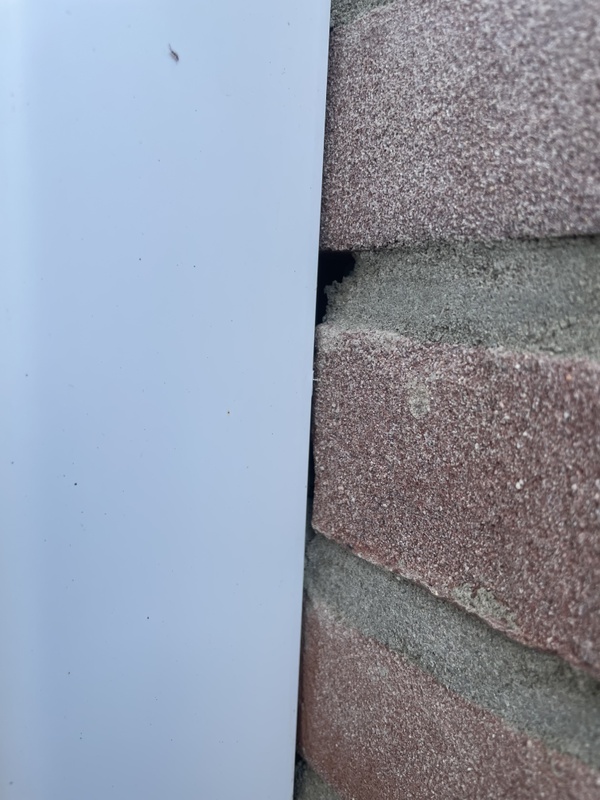 Afbeeldingslocatie: https://tweakers.net/i/Mgdm69kNGU2TEmIhNAE4TrUWXkM=/x800/filters:strip_icc():strip_exif()/f/image/IfyM2etauonZ3k9PowB6vqkr.jpg?f=fotoalbum_large