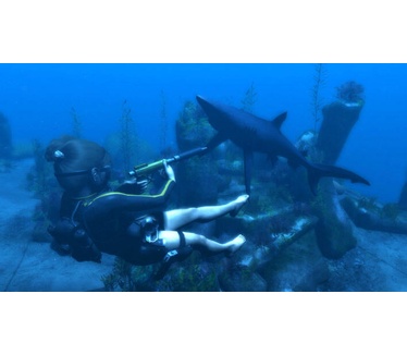 Tomb Raider - Underworld, Windows