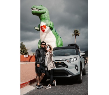 Urban Armor Gear Plasma