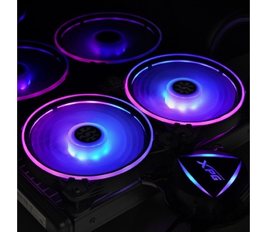 Adata LEVANTE 240
