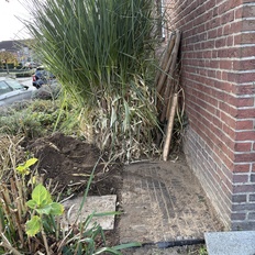 Afbeeldingslocatie: https://tweakers.net/i/Mlmhw4uXLXCezANkZWNjMdJ2cJQ=/232x232/filters:strip_icc():strip_exif()/f/image/UDmezXFV5dpZDLeqjhIBIi5I.jpg?f=fotoalbum_tile