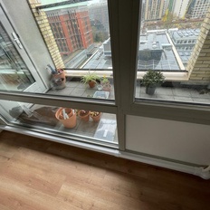 Afbeeldingslocatie: https://tweakers.net/i/MmNav2IQrIztapu7D_370y4SRyI=/232x232/filters:strip_icc():strip_exif()/f/image/wvWx9aFQQhRIvDWWQCIzxQoP.jpg?f=fotoalbum_tile