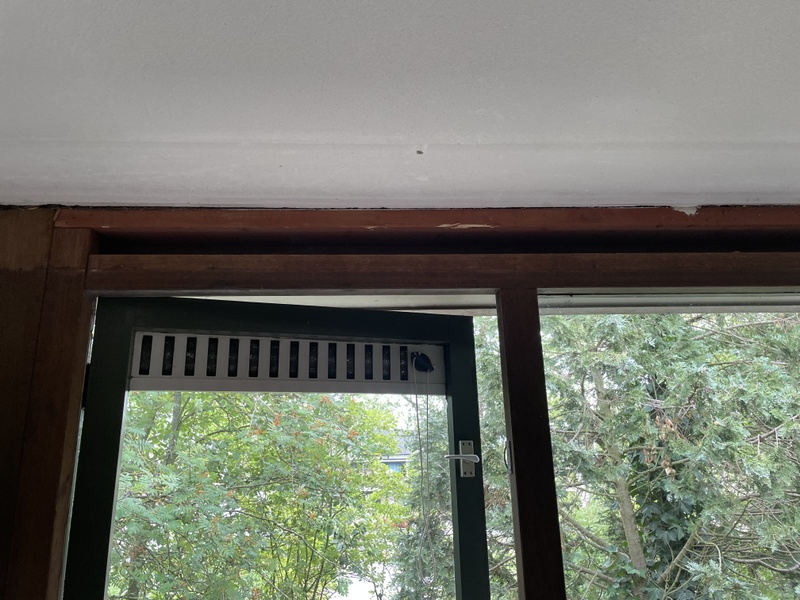 Afbeeldingslocatie: https://tweakers.net/i/Mo2VJGL_y1ysK9rYEFAjEIqcoDM=/800x/filters:strip_icc():strip_exif()/f/image/23R4QTspRo8Ck7aqvXcvsywF.jpg?f=fotoalbum_large