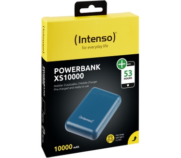 Intenso 7313537