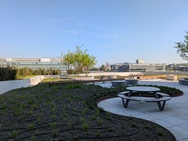 Google Pixel 8a cameratest hoofdcamera dagfoto's