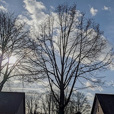 Afbeeldingslocatie: https://tweakers.net/i/MxuHy0tGdBwHk5DTAoBwVS9aSAg=/232x232/filters:strip_icc():strip_exif()/f/image/B5Ma0lH0bGFEmcYGmkiEdxKh.jpg?f=fotoalbum_tile