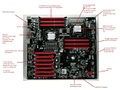 EVGA W555