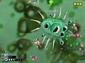Microbial Stage in Spore