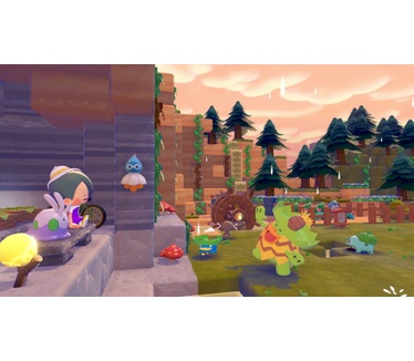 Nintendo Nintendo Switch 2 & Pokemon Pokopia
