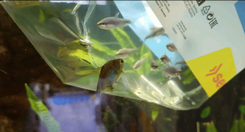 Afbeeldingslocatie: https://tweakers.net/i/N3BLZEZWiGO0iXDBkCuwFvgDP04=/800x/filters:strip_exif()/f/image/QRm4ajZj3fSosm8SaOnPeFcw.png?f=fotoalbum_large