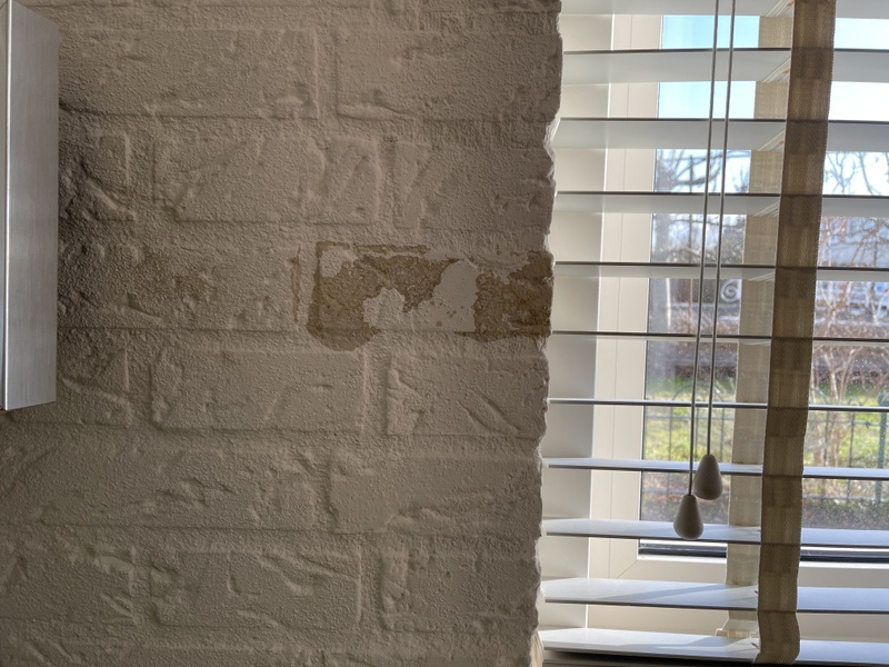 Afbeeldingslocatie: https://tweakers.net/i/N4RgIkwE7ZM11HlrrE9uPbGSllQ=/800x/filters:strip_icc():strip_exif()/f/image/LRHFp94fQwMKxhqXsSlZZGwn.jpg?f=fotoalbum_large