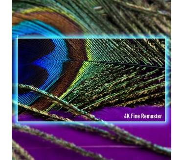 Panasonic TV-65Z90AEG