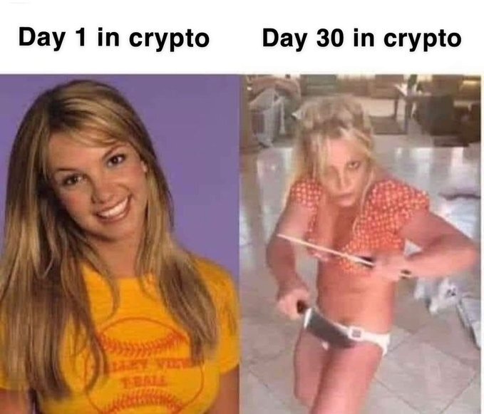 Afbeeldingslocatie: https://tweakers.net/i/N6DVZXodrATQdT8Mf70Ag22Jj7M=/full-fit-in/4920x3264/filters:max_bytes(3145728):no_upscale():strip_icc():fill(white):strip_exif()/f/image/ky7rVvGa72Lfd8PSrKKcOjcO.jpg?f=user_large