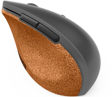 Lenovo Go