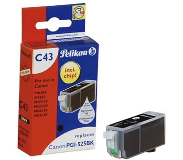Pelikan C43