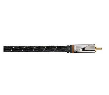 Avinity 3m RCA