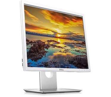Dell P1917SWh