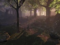 Fable2