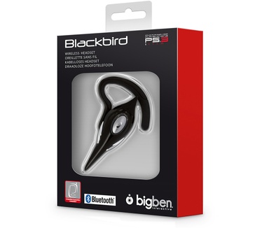 Big Ben Blackbird