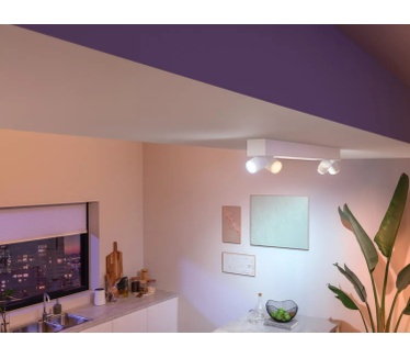 Philips Centris, 4-lichts plafondlamp