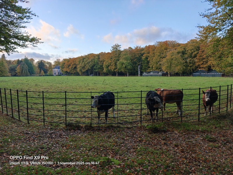 Afbeeldingslocatie: https://tweakers.net/i/NCxPsXDrMKd00yFaY4sjcJoWYc8=/800x/filters:strip_icc():strip_exif()/f/image/iUileJOswNIXNq1Up54XLtrm.jpg?f=fotoalbum_large