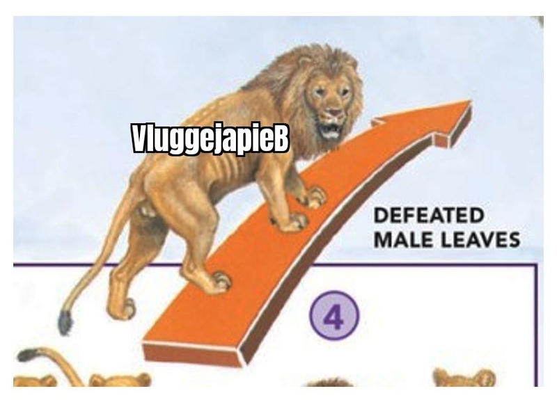 Afbeeldingslocatie: https://tweakers.net/i/NDJV2eR2yYG4WLnAk4h2XWP4nbA=/800x/filters:strip_icc():strip_exif()/f/image/qI9hzqL88Jw3RGsJJxaNAefk.jpg?f=fotoalbum_large