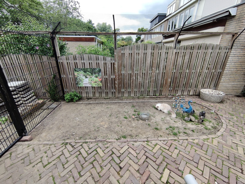 Afbeeldingslocatie: https://tweakers.net/i/NF4Uv_iypdojZU_z1Cb8LW9Hifs=/800x/filters:strip_icc():strip_exif()/f/image/ar2AxOUVLSHj8kqPxONdMv1J.jpg?f=fotoalbum_large