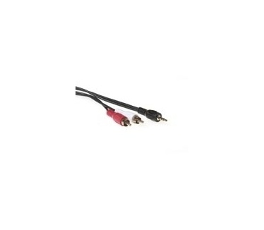 Intronics Verloop kabel 3.5 mm jack male - 2x tulp male