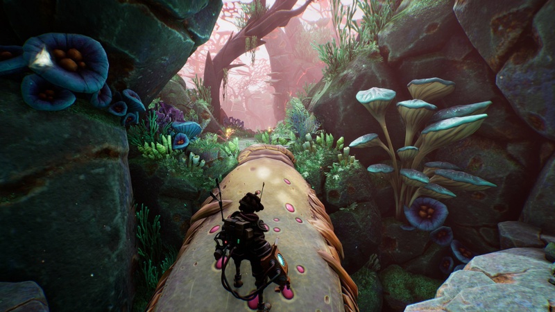 Afbeeldingslocatie: https://tweakers.net/i/NIQaRZMij4m3IcPEI-FZS7H-FVE=/800x/filters:strip_icc():strip_exif()/f/image/7P5Ozwwa2S9T98YHgNWCYKvV.jpg?f=fotoalbum_large