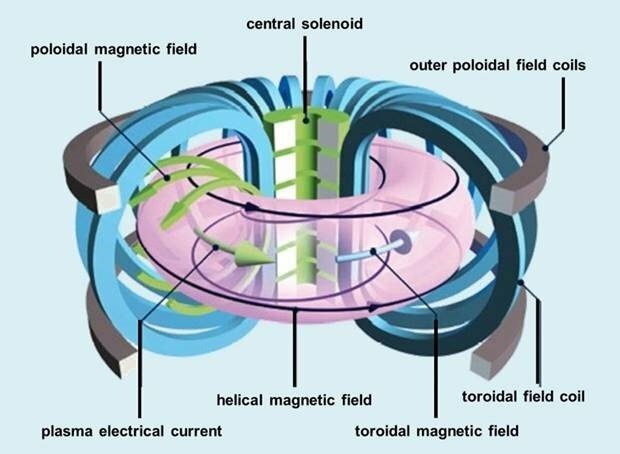 Magneetvelden in een tokamak (beeld: EUROfusion)