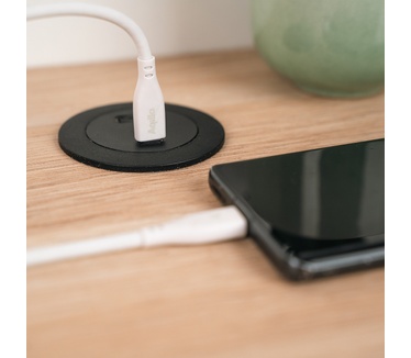 Aqiila Cablebird CS11
