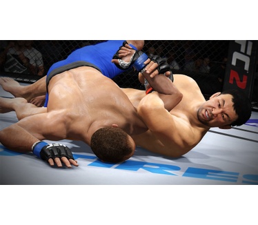 EA Sports UFC 2, PlayStation 4