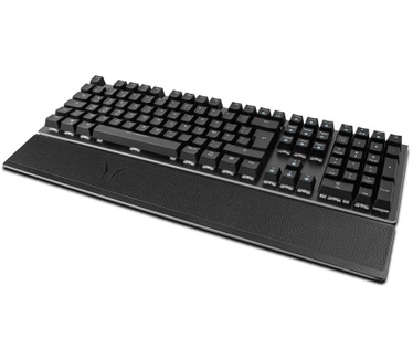 Medion Erazer X81699 (Qwerty)