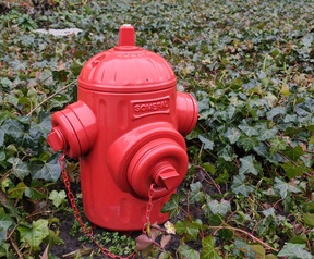 Cameratest - 2x zoom