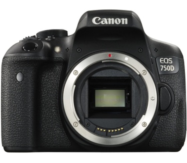 Canon 750D + 18-55mm iS STM + 55-250mm iS STM
